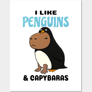 I Like Penguins and Capybaras Posters and Art